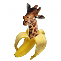 gallery/conceptual (logo)